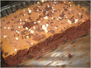 Amarula Koek of Poeding