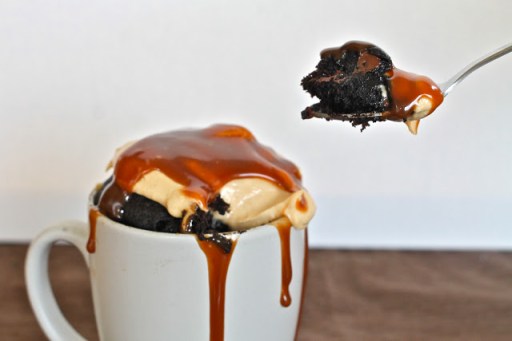 mug fudge peanutbutter