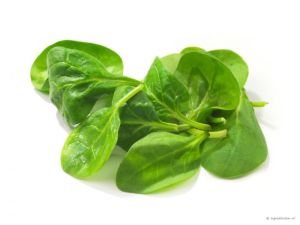 Photo by ingredienten.nl