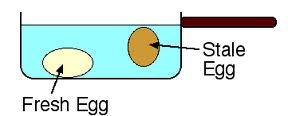 eggs vrot