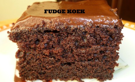 fudge cake 4