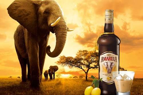 amarula xxx
